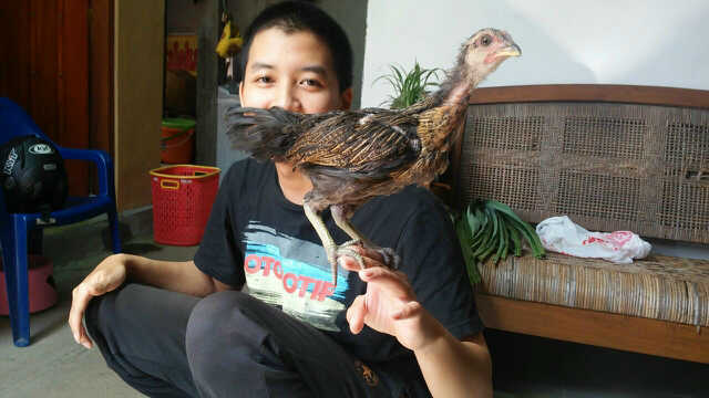 gigihagungb's tweet photo. #TheSecretLifeOfPets @UIPIndonesia "The Master of Chicken" https://t.co/L2yqYmsyqT