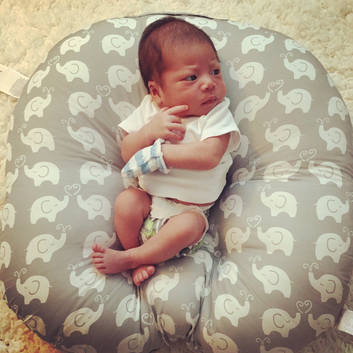 joy_taing's tweet photo. Hunter looking like a tough baby boy 😍 https://t.co/Cgzlw3quy4