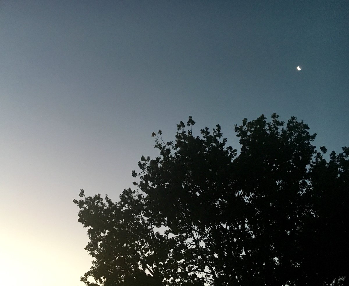 guertlerf's tweet photo. "Es hoy: todo el ayer se fue cayendo 
entre dedos de luz y ojos de sueño," 
(from Neruda- cien sonetos de amor) https://t.co/83zFioBUlX