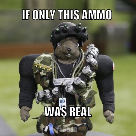 Steve93879612's tweet image. #bbcomp #bbsquirrel #bbad #bb18