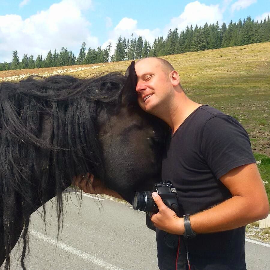 TransyBike's tweet photo. Horse in Apuseni National Parc

#horse #apuseni #transylvania #romania #travel #adventures… https://t.co/YdNytZsYSR https://t.co/v8D2CcXk5r