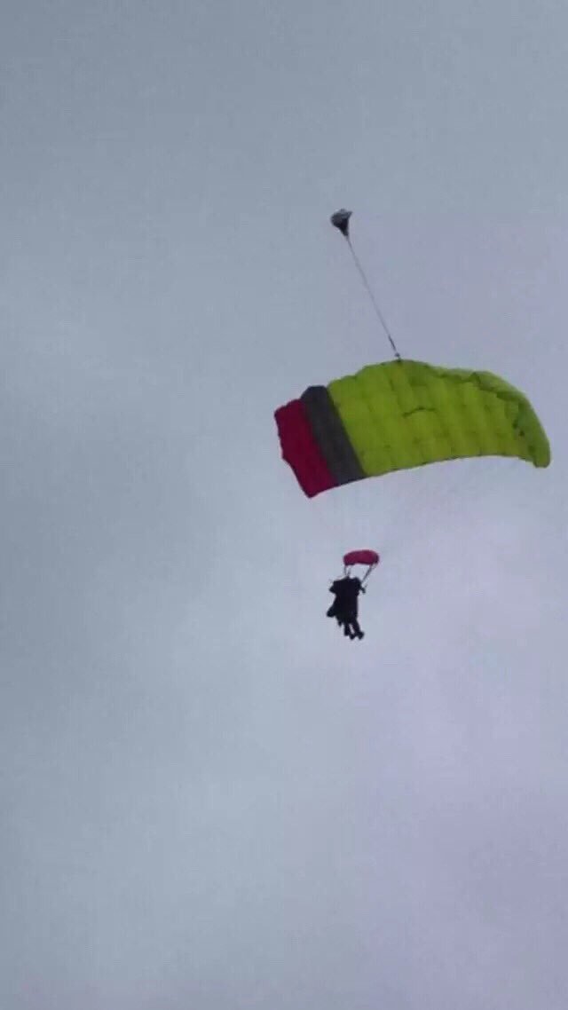 DillonBrandon's tweet image. 