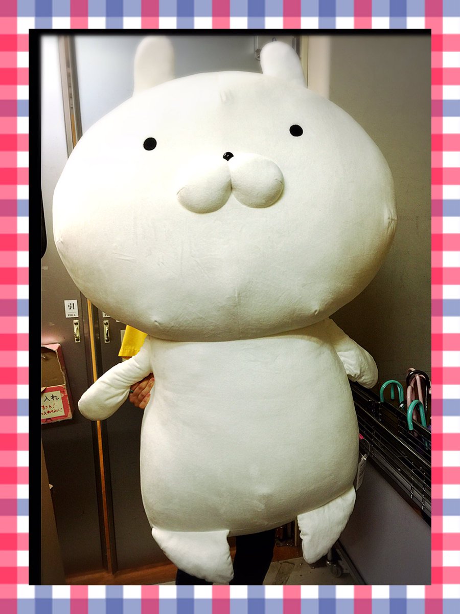 特大ぬいぐるみ入荷しましたっ‼️でっか〜い‼️ #うさまる #特大