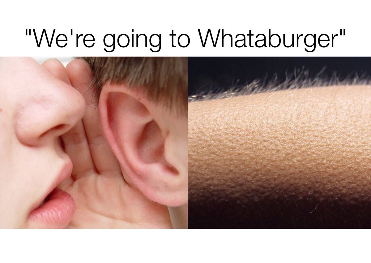 WTspirit's tweet photo. Mood 😏 #ImiRight @Whataburger #WTAMU https://t.co/xzF9chyFZn