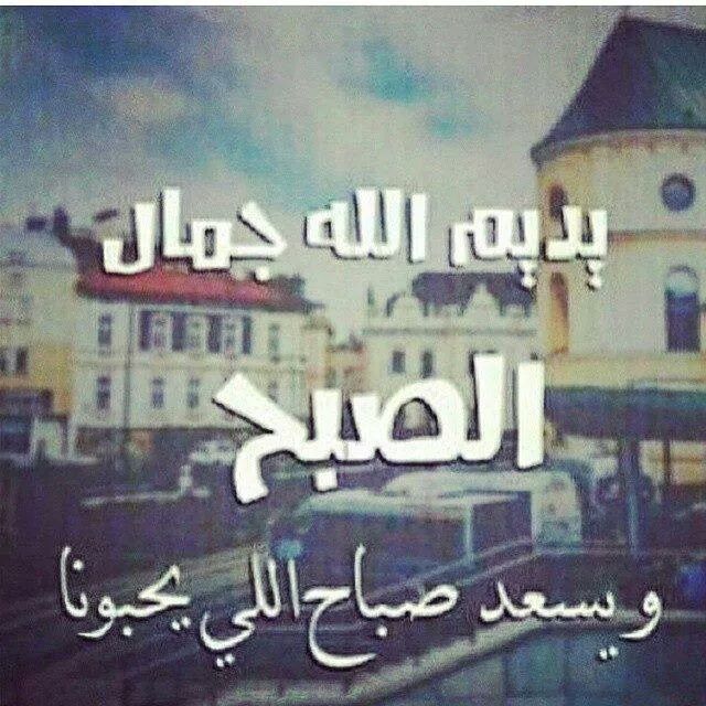 nseem_91's tweet photo. https://t.co/iK7DeOX8iN