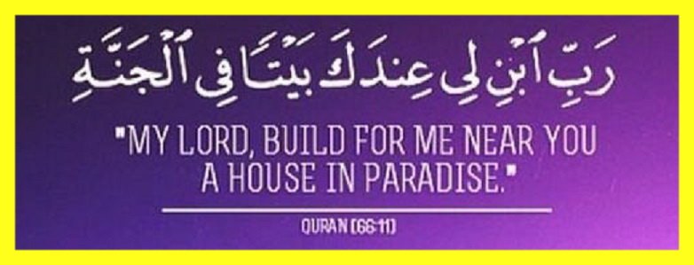 11For_Sultan's tweet photo. https://t.co/yijyvjMJgc https://t.co/vZx1N3msie