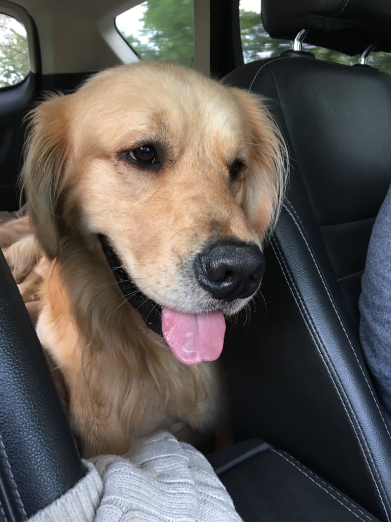 @misterluke5S0S hurry