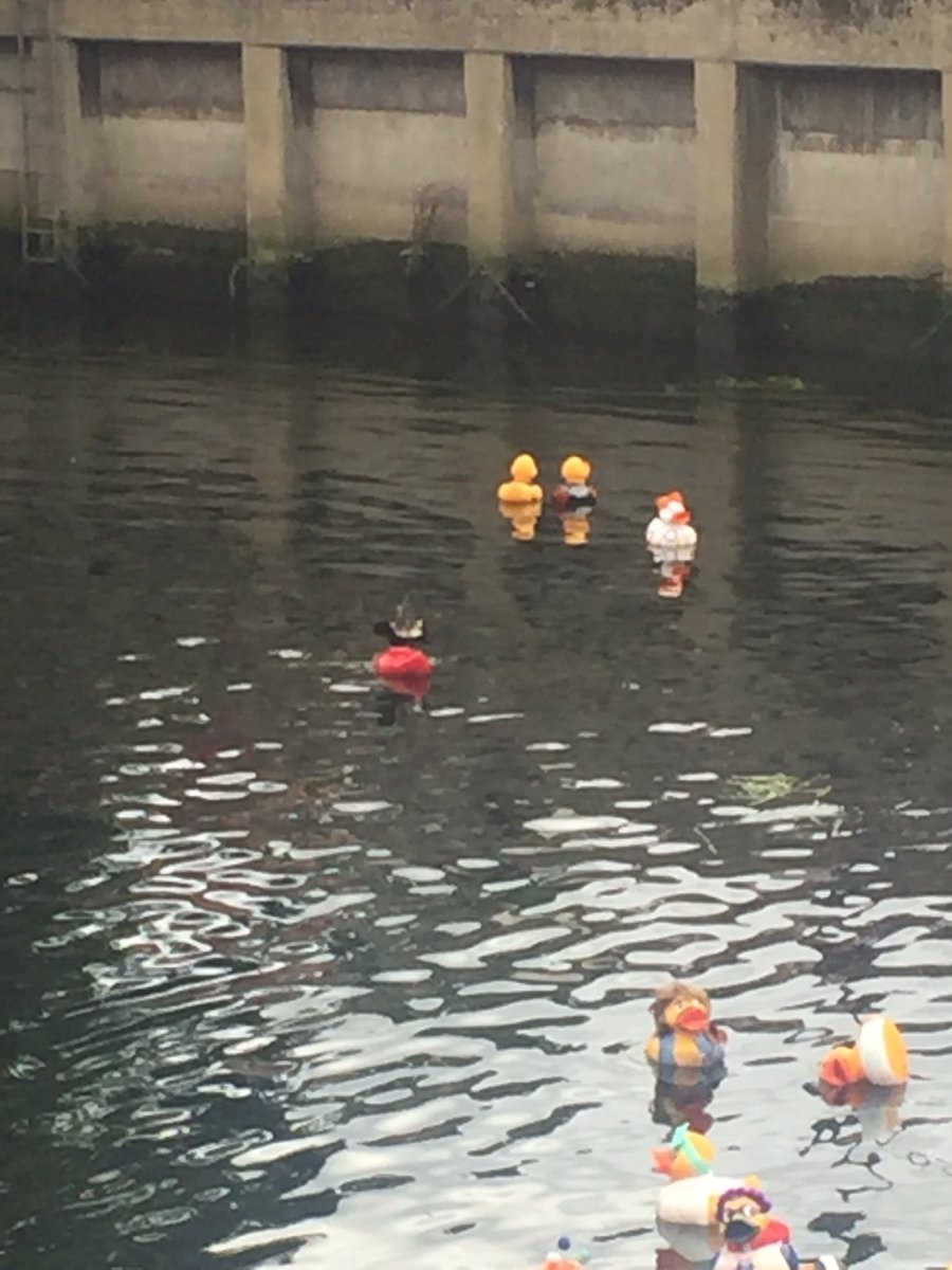 We're at the #GNDR16 supporting our ducks!