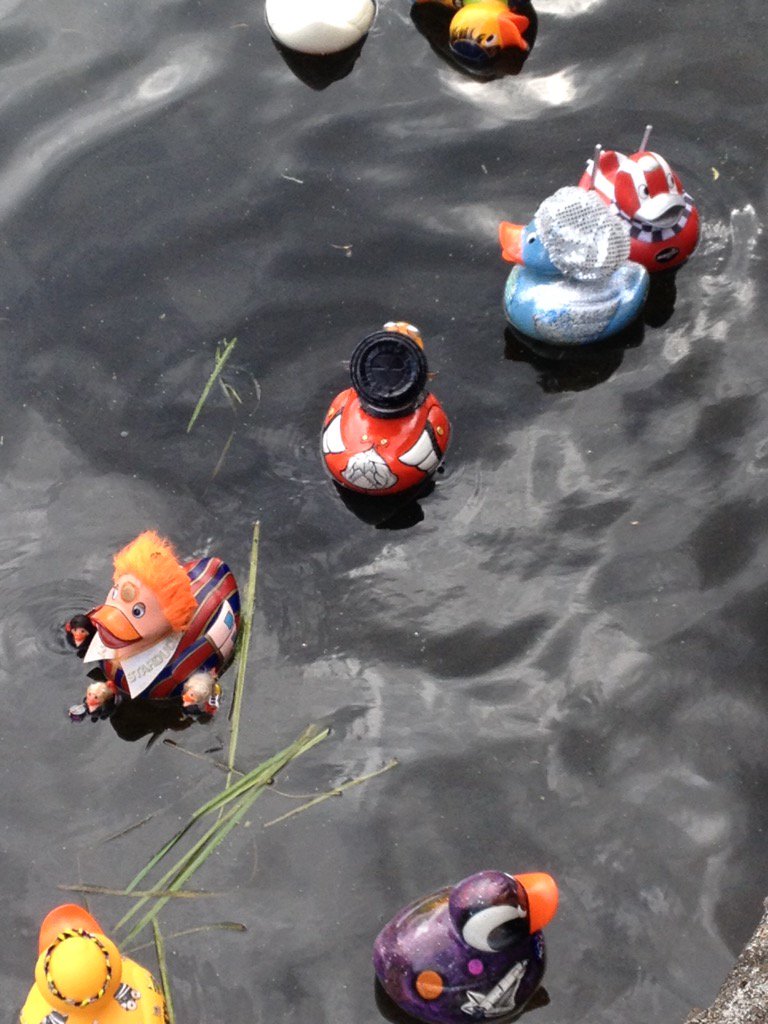 She's on her way!#GNDR16