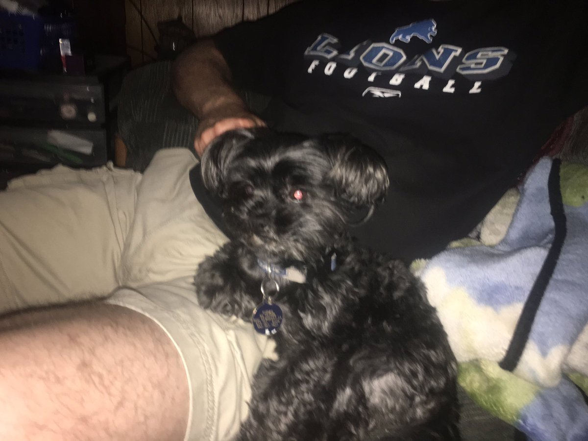 Kilroy0826's tweet photo. @PetsForTrump Happy Birthday Roxie ! https://t.co/5b38EyHjzb