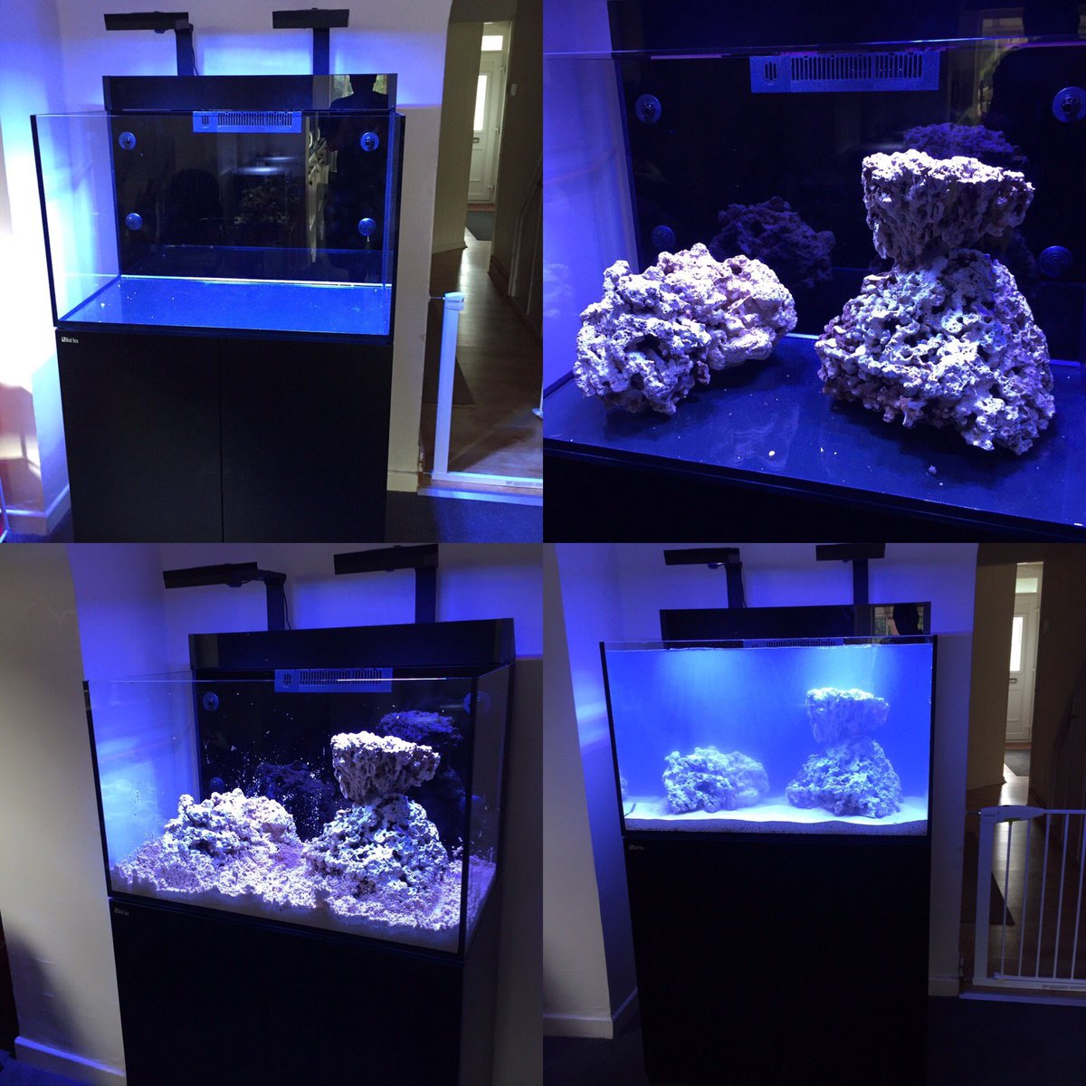 Cooksta1987's tweet image. Setting up a new marine reef tank to upgrade the nano 😜🐠🐡👍🏼 #allmymoneygoestocoral #myreeftank #livingart