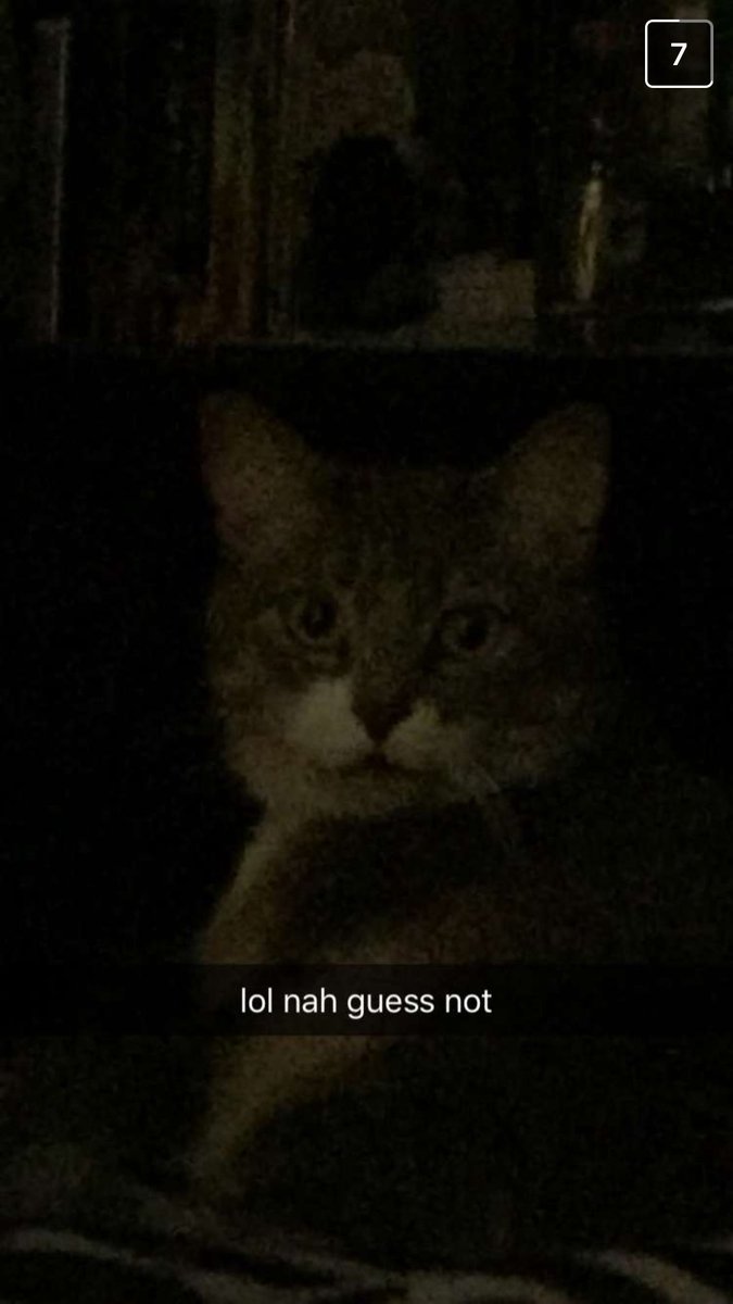 Treyhorne69's tweet image. #mightnot @kap__tin