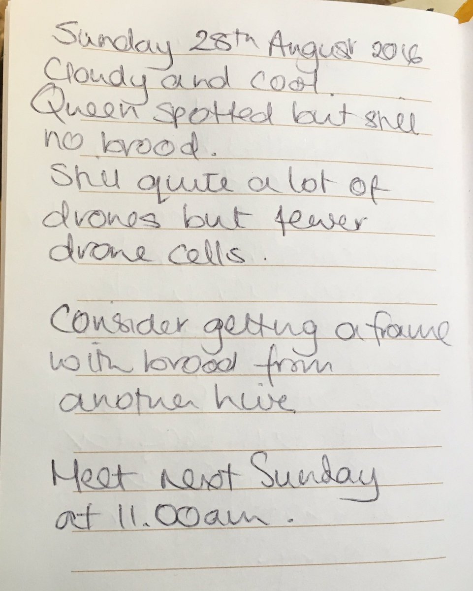 bee7forestgate's tweet image. 