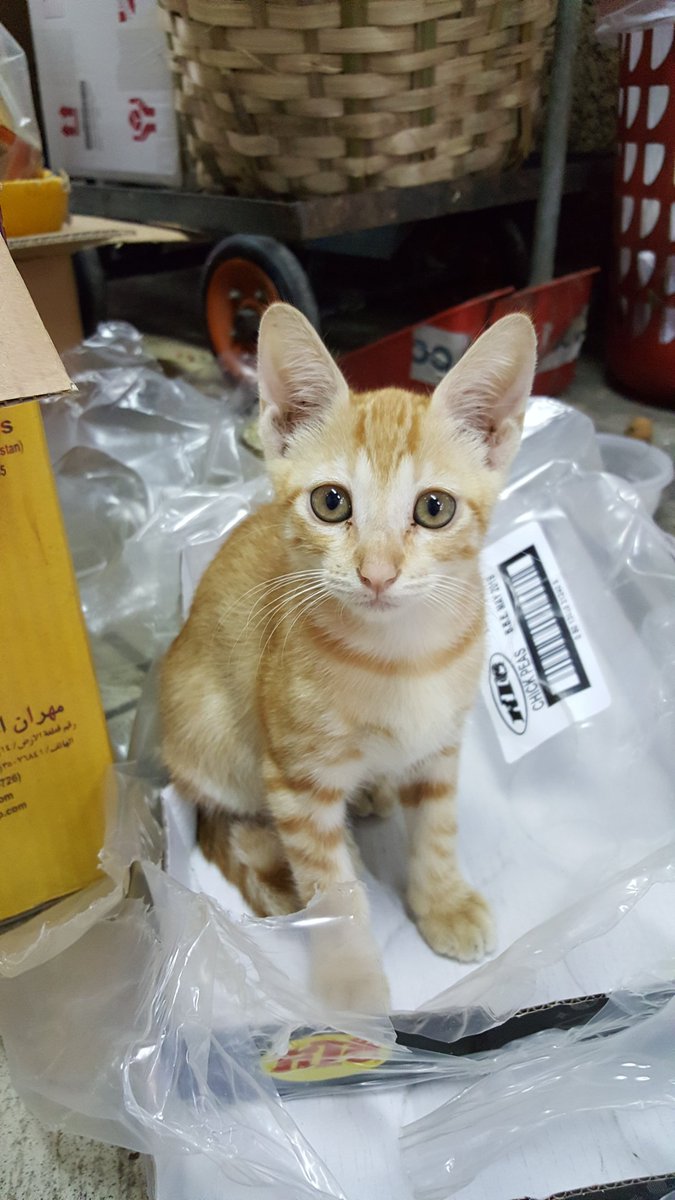 cryptsetup's tweet image. ...