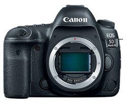 dicamera.nl tweet media