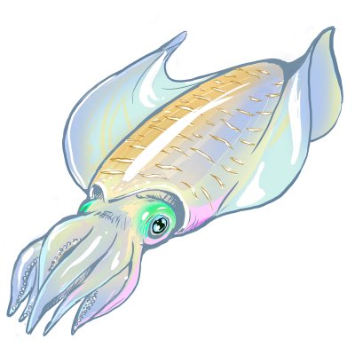 アオリイカのtwitterイラスト検索結果 古い順 アオリイカのtwitterイラスト検索結果 古い順