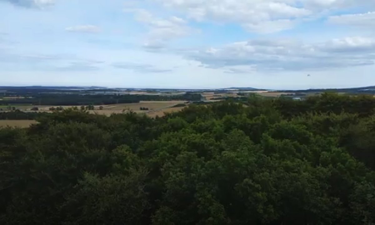 Arwens_Photos's tweet image. @saskiasamoyed @Tracey_Saskia #Periscope #Scotland #NelsonsTower