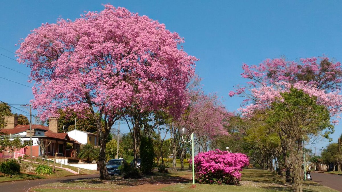 Jorgeasevi's tweet photo. Desde apóstoles ciudad de las flores mirando tn  #EsteFinde https://t.co/XXhKAVMRNd
