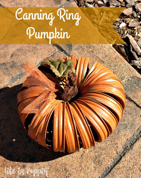 LifeisPoppin's tweet photo. This is such a fun and frugal craft idea that will make a huge statement in your #Fall decor
https://t.co/34Fnfdc5jK https://t.co/kqAfDFTPxD