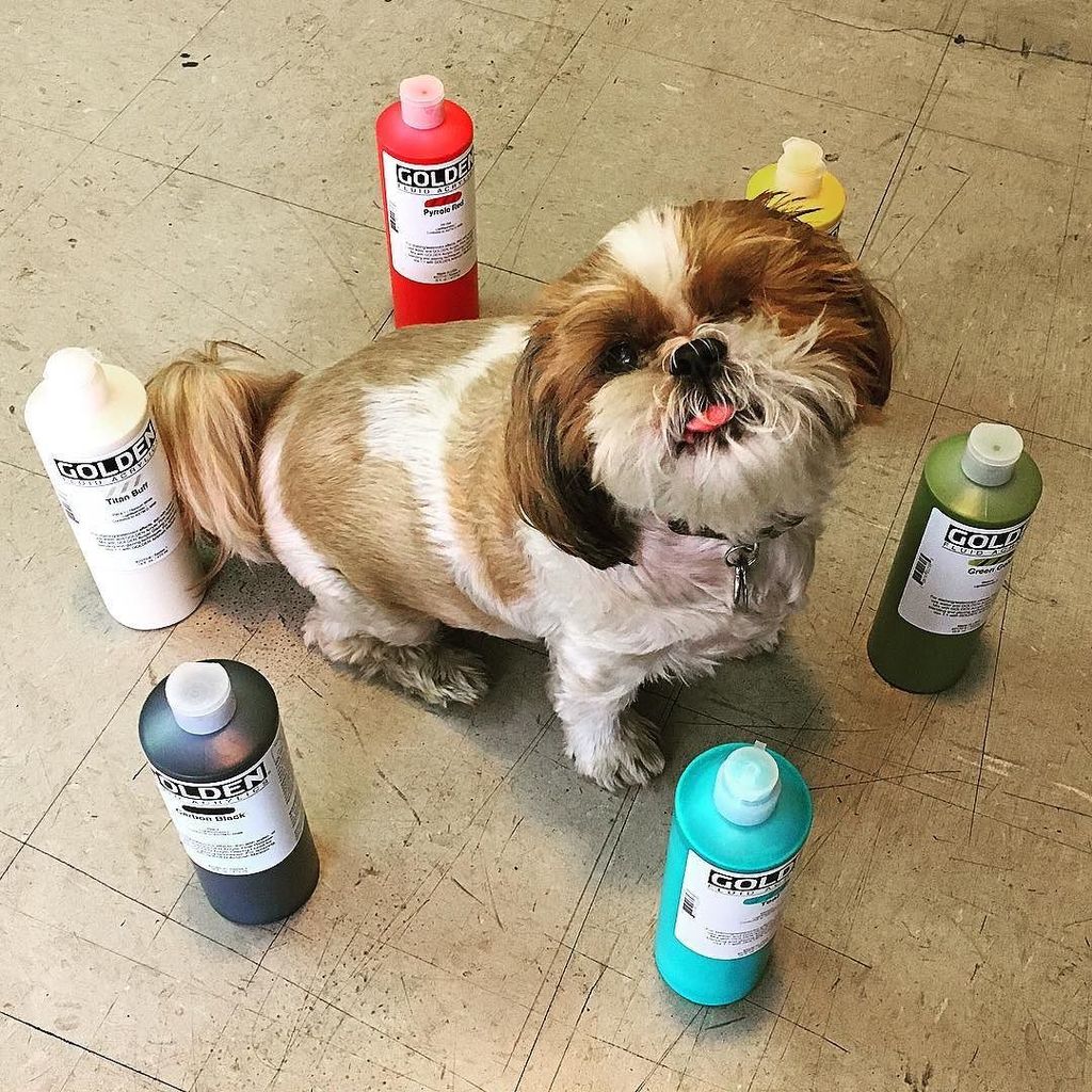 RawMaterials's tweet image. Golden High Flow Acrylics are on sale for 40% off!! These @goldenpaints #acrylic #paints h… ift.tt/2bJNkMZ