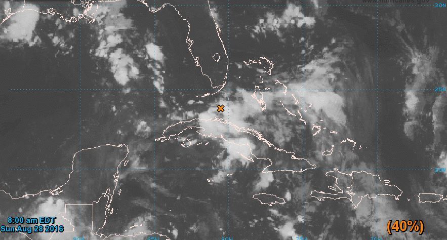 orlandosentinel's tweet image. Rain, wind gusts expected as tropical wave moves into Gulf thesent.nl/2c6hNEm