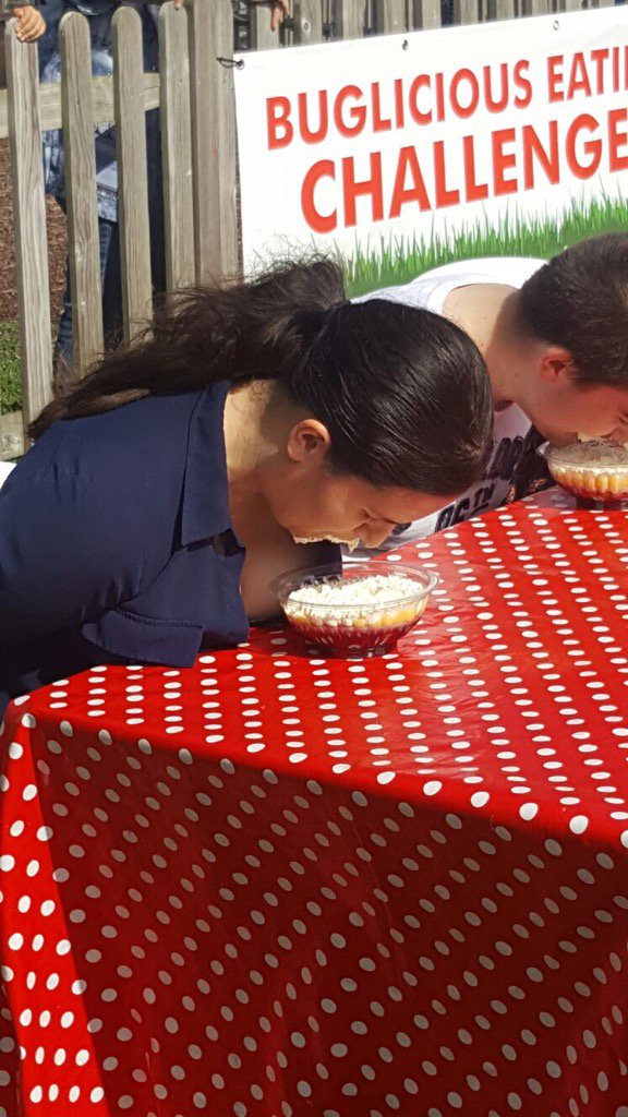 BritStudioX's tweet photo. Couldn't resist the trifle eating contest! #ciderfestival #sploshing #faversham https://t.co/Pl9iRaXG5q