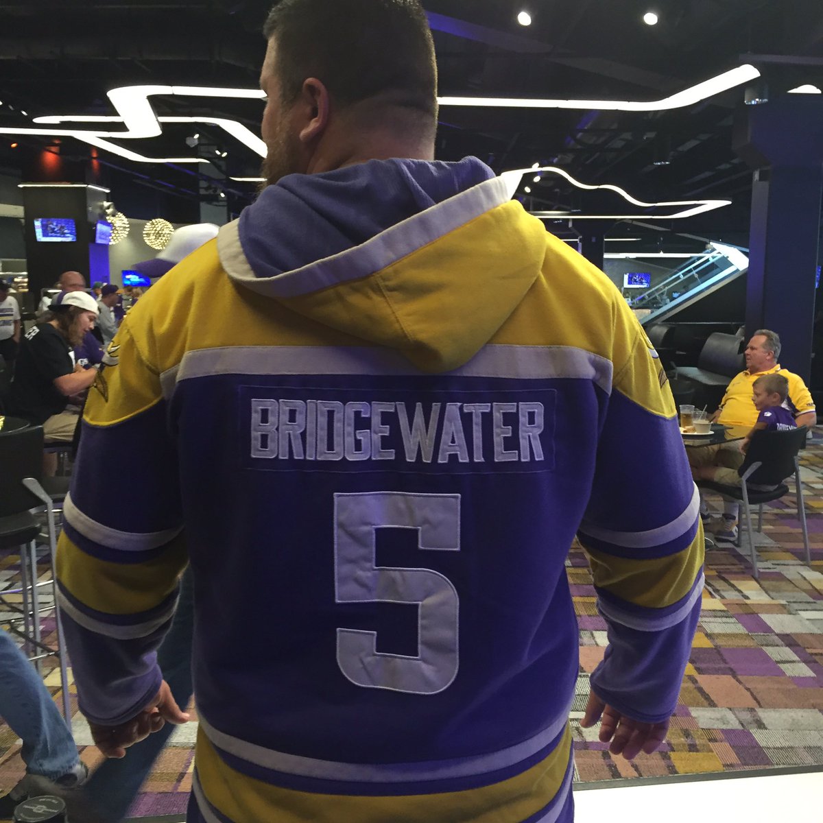 minnesota vikings hockey jersey