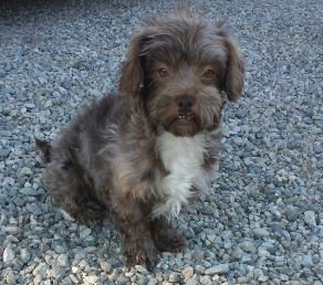 Here is what all your love did.. it saved me!