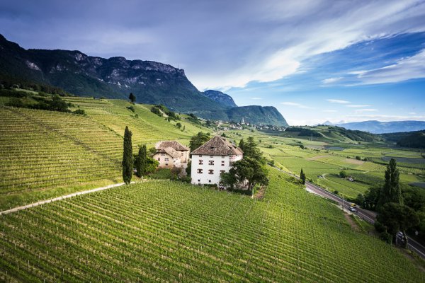 Bluarte1's tweet photo. #CastelRingberg #wine #experience @ElenaWalch @AltoAdigeWines #vino #pinotgrigio ... https://t.co/MIEf3i5Q3W https://t.co/jokOKKXbrM