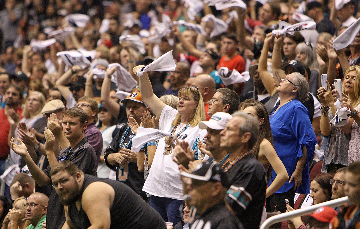 ArizonaRattlers's tweet photo. The Rattlers want to thank all our fans who supported us through the entire 2016 season! Together, we #StrikeAsOne https://t.co/LWD7TK727J