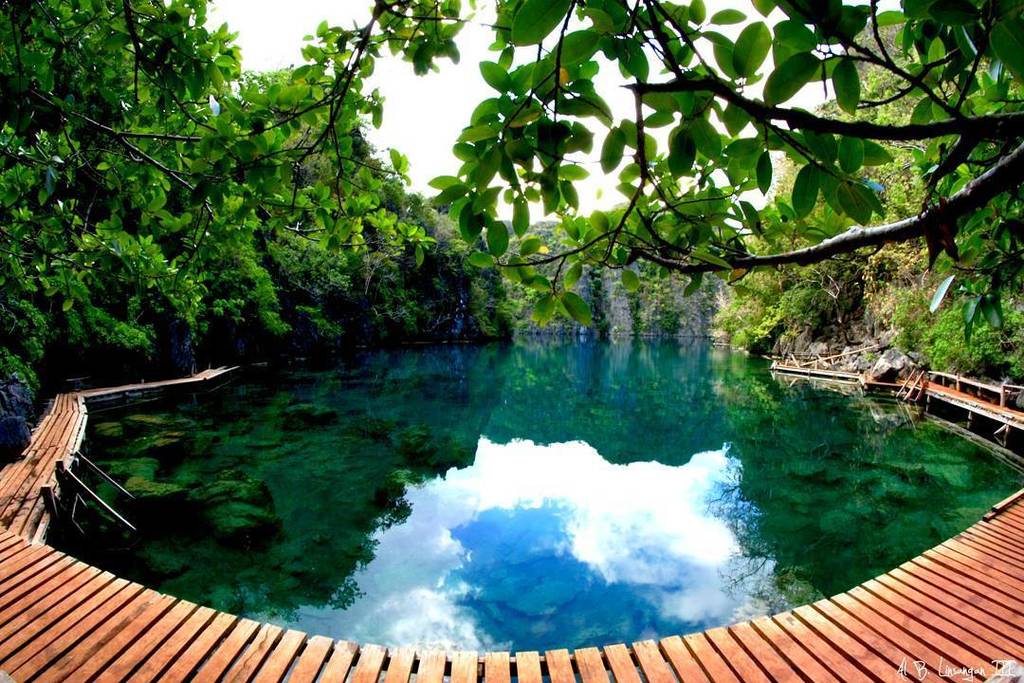 CoronSoleil's tweet photo. Find Serenity in #Coron
-------
Photo by:Al Linsangan

#palawan #travel #tourism #philippines #green #nature #lake … https://t.co/fydaDw2IIV
