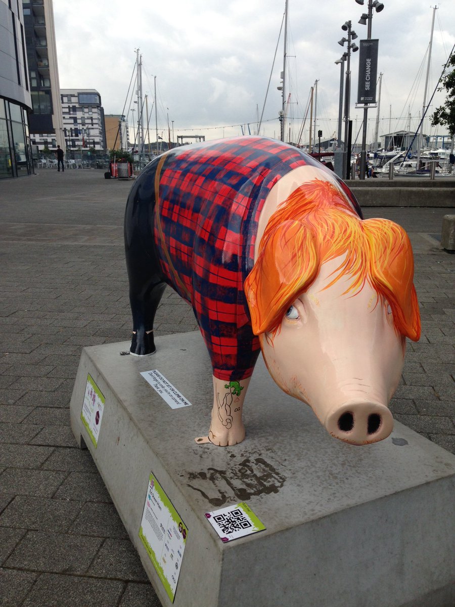 Amykawhite's tweet photo. @PigsGoneWild16 @Ed_Sheerham @suffolkcc found today what a character this pig is 😉 https://t.co/XsmZ0vxmmA