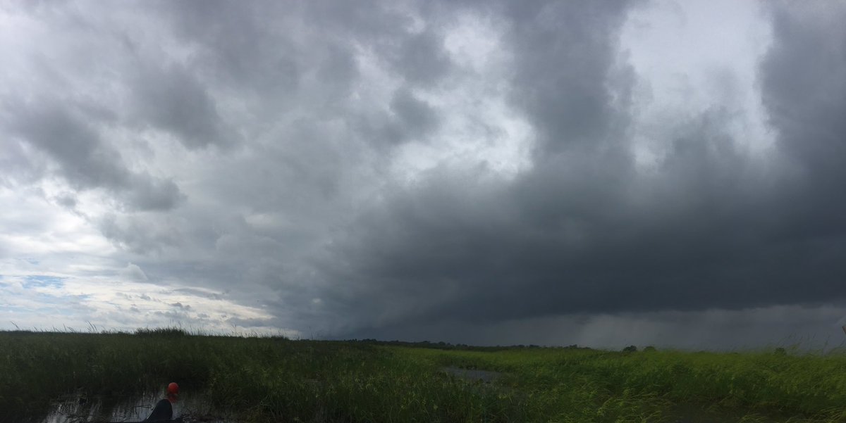 JasonBarnucz's tweet photo. Incoming rain over the marsh. #LongPointON #onstorm @MurphTWN @weathernetwork https://t.co/00VFxjl1zQ