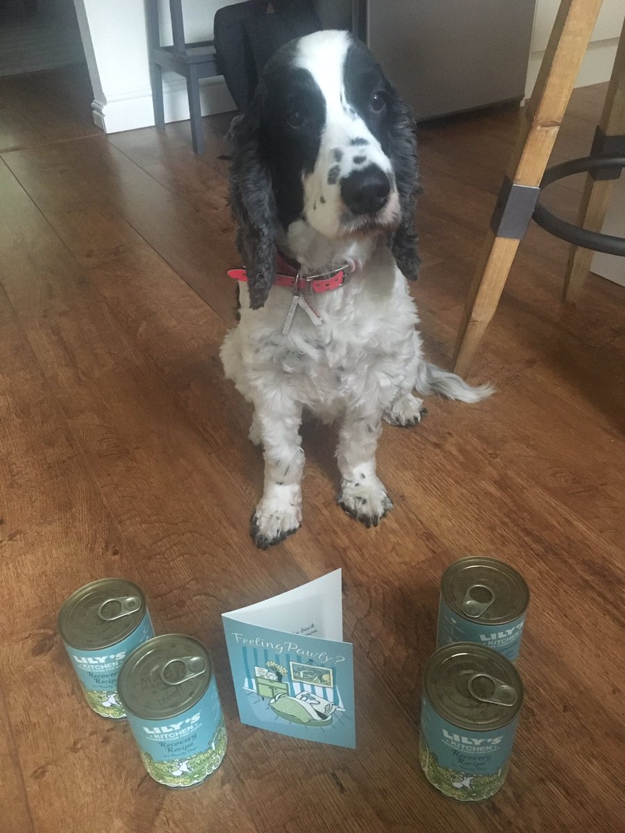 Louise645Louise's tweet photo. Thank you @lilyskitchen for my recovery recipe food and card. Feeling much better now #feelingpawly https://t.co/vmJrW7mCtc