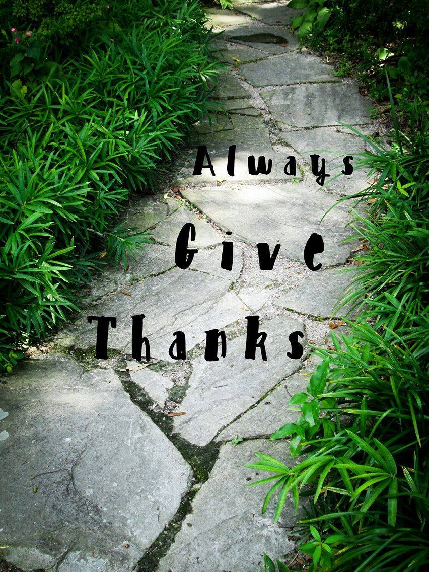 firstonthird's tweet image. What are you thankful for today?
#thankfulTuesday, #gratitude, #feelgoodtuesday, #goodnewsTues
