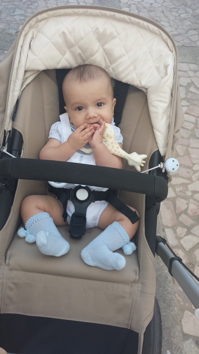 beariverocutill's tweet photo. Nos vamos de paseo con el más bonito 👶❤ https://t.co/sbPYulArvL