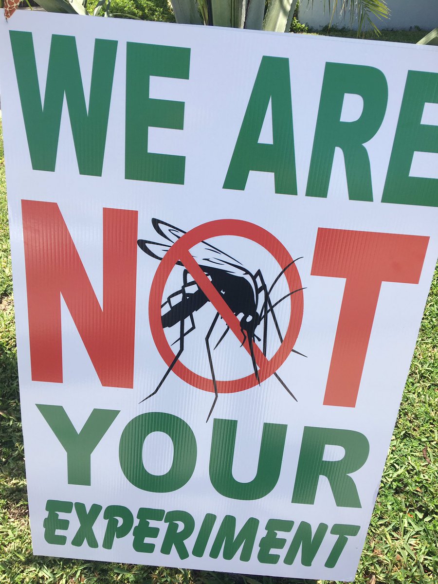 BrianEntin's tweet photo. Keys residents worried they'll become lab rats if 22 million genetically modified mosquitos are released @wsvn #Zika https://t.co/5dMUHwiLLc