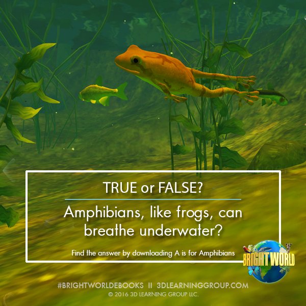 It's #TriviaTuesday! RT your best answer to show #support of #BrightWorldeBooks' #apps ▶ bit.ly/FbCF2016