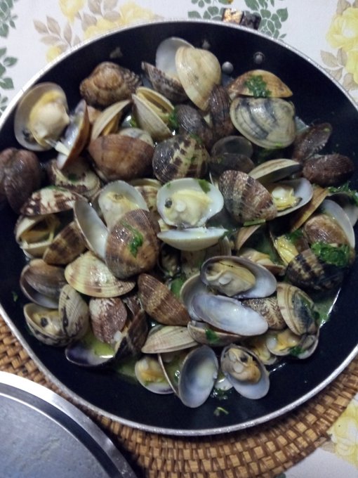 Pato thing =am&ecirc;ijoas &agrave; Bulh&atilde;o pato https://t.co/m97SeweAvP