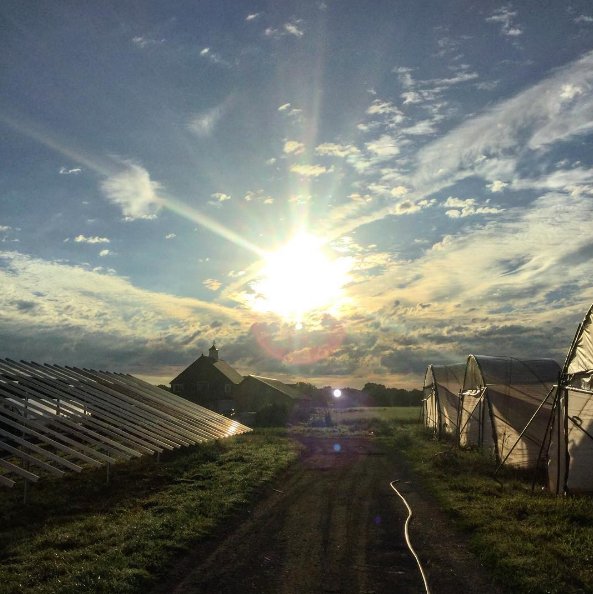bmacres's tweet photo. It’s been a busy but beautiful summer! What has been your favorite harvest from our fields so far? #farmlife https://t.co/B8zIB0REb4