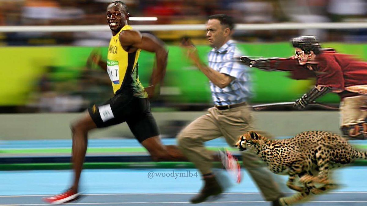 Cheetah Vs Usain Bolt
