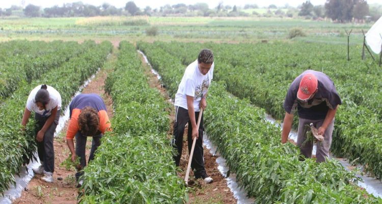 MiCumana500's tweet photo. Entérese cuántos títulos de tierra se entregarán a productores agrícolas de todo el país.
https://t.co/M0udwQT4NI https://t.co/IofXOjrV87