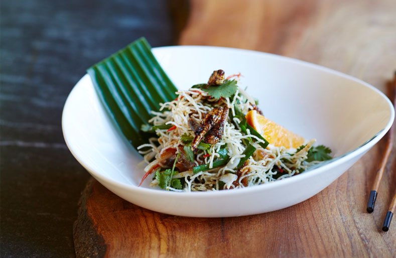 Bugible's tweet photo. Jamie Oliver - Time to embrace eating insects? #eatbugs https://t.co/duLxzxJEVx https://t.co/LCDn9doUiM