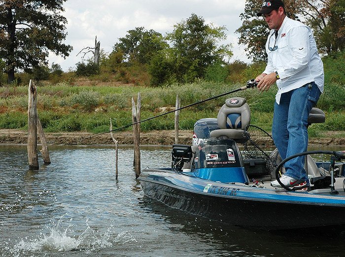 Summer #BassFishing Tips - How to Fish Stump Fields. #Fishing | Full Article: bit.ly/2aXiCtS