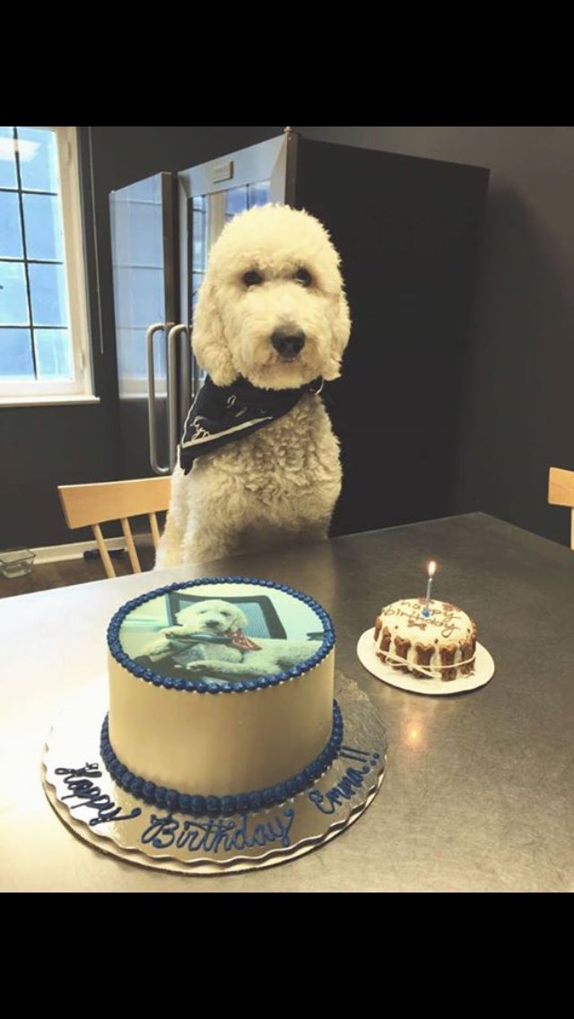 CaluCrew's tweet image. Our crew would like to wish Emma a happy 1st birthday!! #lym