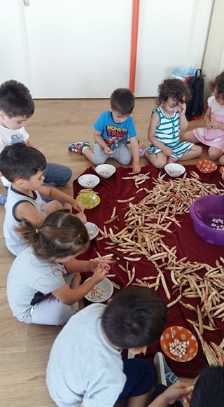 Dr Kasif Anaokulu For Android Apk Download