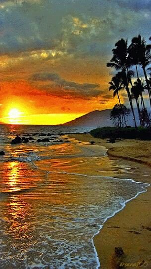 @1Ma42 :Boa noite meu querido amigo!Que sua noite seja muito feliz!