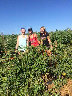 Dulaney Volleyball Team at First Fruits Farm for some team building! #DulaneyPride <a href="/DulaneyVBall/">Dulaney Volleyball</a> <a href="/DulaneyLions/">Dulaney Athletics</a>