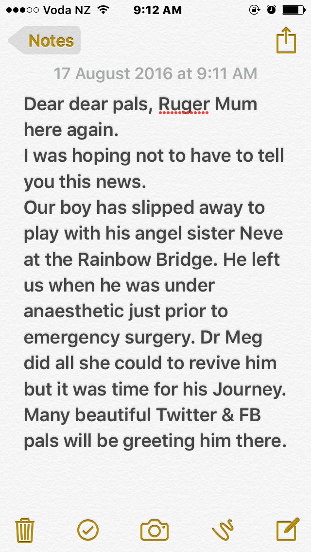 RugerBlue's tweet photo. Dear pals, Ruger Mum here. We have some sad news. Please read & we are happy for you to pass this on to other pals. https://t.co/G5Eb3QxrIS