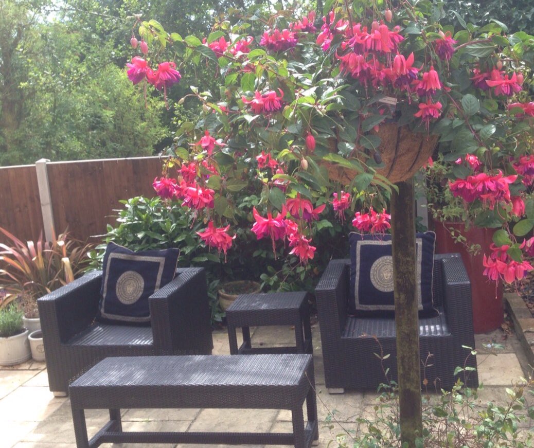 PillarBoxHouse's tweet image. We sleep 8 - we&apos;re 20 minutes from central #Norwich - 40 minutes from #Brancaster - #PetsAccepted #Norfolk